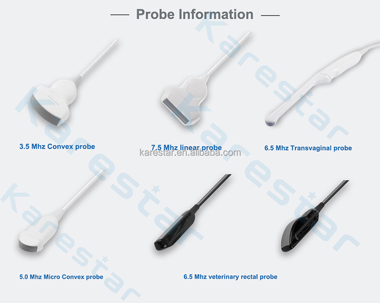 Probe-information-1