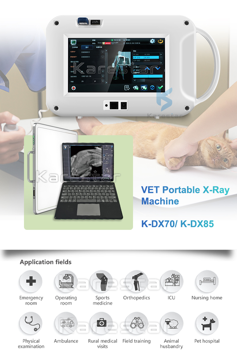 593ff4e2-b9b0-4efa-ac31-25d6fa2fc36a