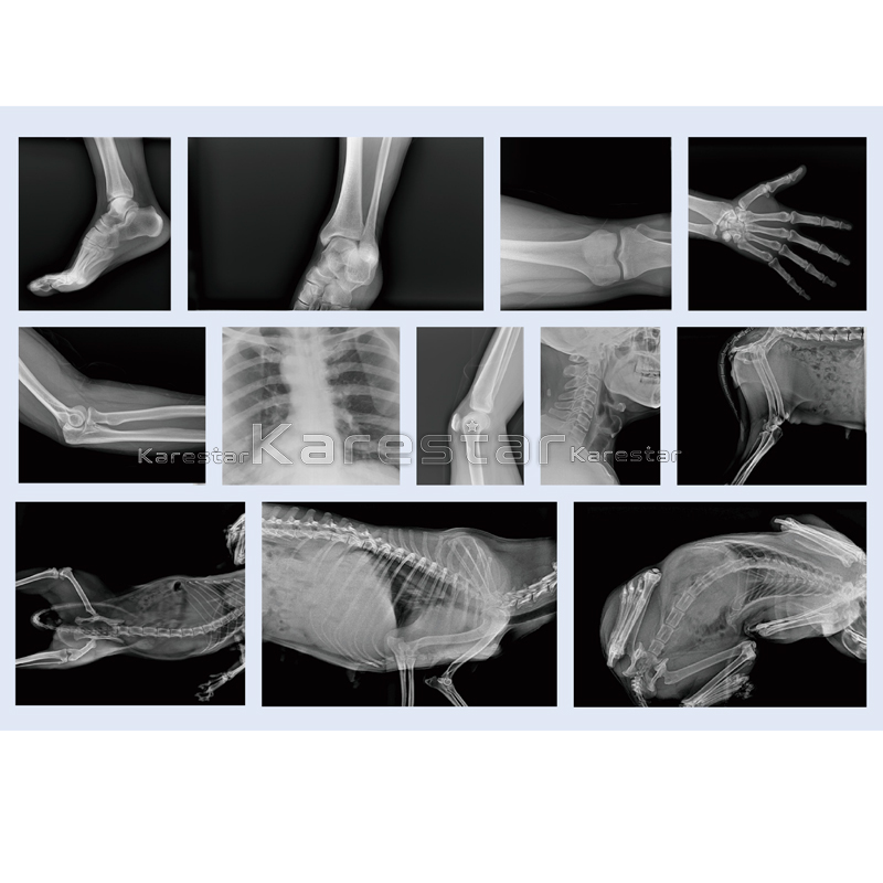 767273bf-f2ae-4ff5-9e95-7594f80c8deb